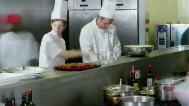 Equipo ocupado de chefs preparando comida en una cocina comercial — Vídeo de stock