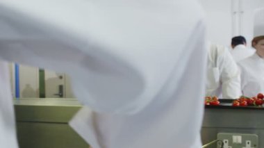 takım profesyonel şefler içinde otel ya da Restoran mutfak gıda hazırlama