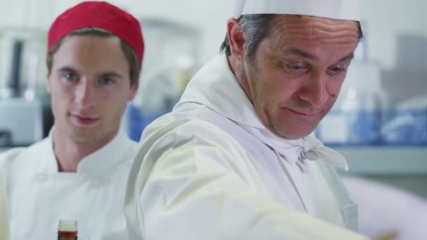 Equipe de chefs profissionais trabalhando juntos em uma cozinha comercial — Vídeo de Stock