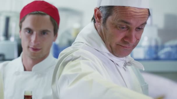 Team di chef professionisti che lavorano insieme in una cucina commerciale — Video Stock