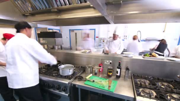 Équipe occupée de chefs préparant la nourriture dans une cuisine commerciale — Video