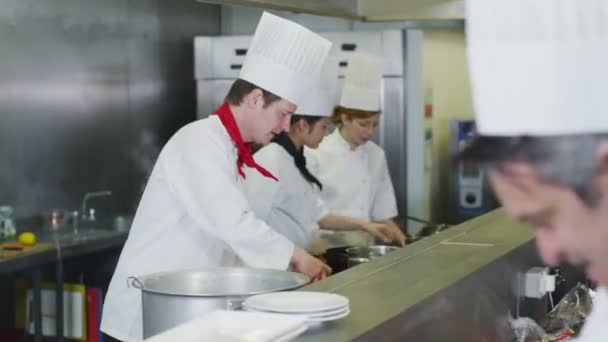 Equipo de chefs profesionales preparando comida en una cocina comercial — Vídeo de stock