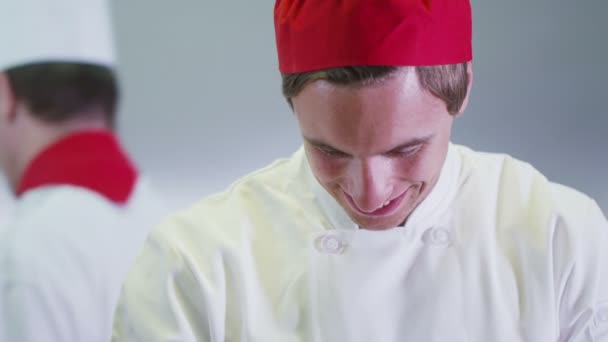 Equipe de chefs profissionais trabalhando juntos em uma cozinha comercial — Vídeo de Stock