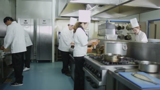 Chef-koks koken voedsel in commerciële keuken — Stockvideo