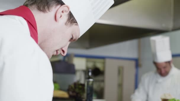 Delicious gourmet dish is being given the finishing touches by the chef — Stock Video