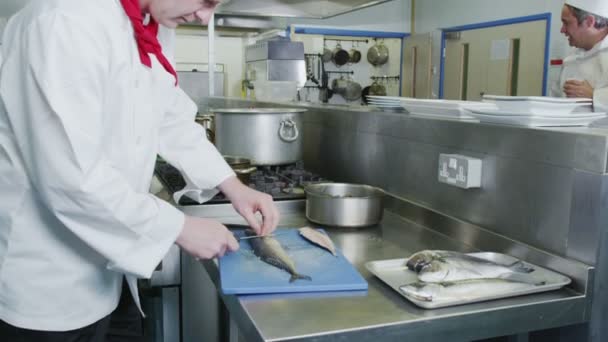 Chefs cocinando comida en cocina comercial — Vídeos de Stock