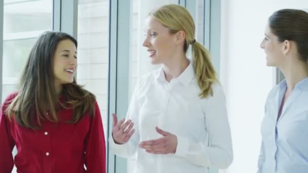 Femmes d'affaires bavarder ensemble — Video
