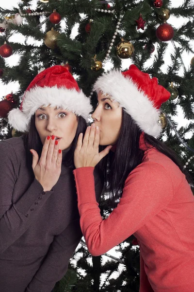Zwei Frauen in der Nähe von Weihnachtsbaum-Klatsch — Stockfoto