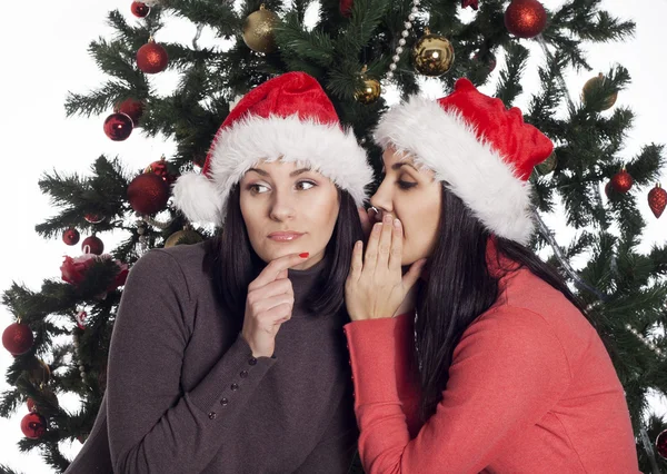 Två kvinnor nära julgran skvaller — Stockfoto