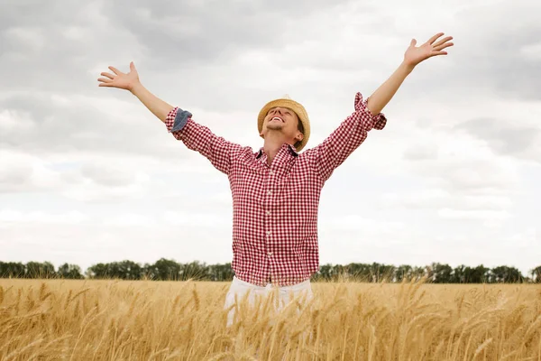 Young Happy Man Outstretched Arms Wheat Field Concept Freedom — стоковое фото