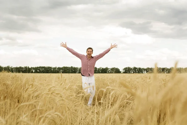 Mladý Šťastný Muž Nataženýma Rukama Pšeničném Poli Pojem Svoboda — Stock fotografie