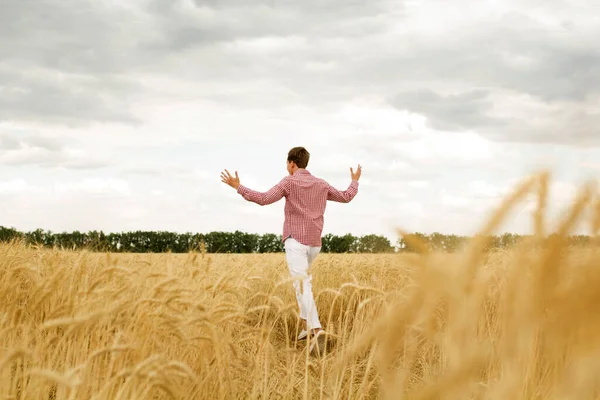 Giovane Uomo Felice Con Braccia Aperte Campo Grano Concetto Libertà — Foto Stock