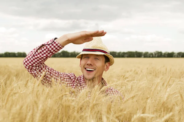 Feliz Sorriso Homem Caucasiano Agricultor Orgulhoso Frente Seus Campos Trigo Fotografias De Stock Royalty-Free