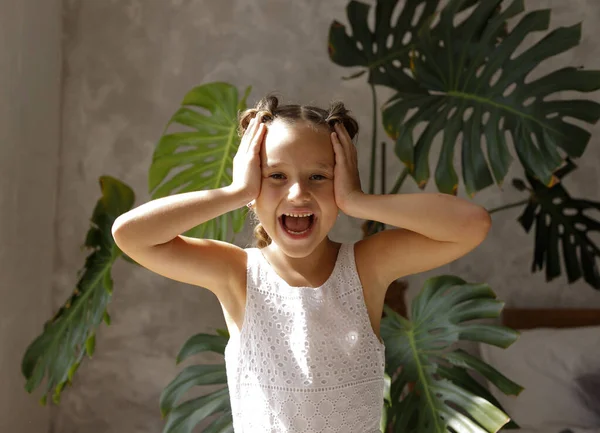 Shocked Happy Caucasian Little Girl Holding Hands Head Screaming — стоковое фото
