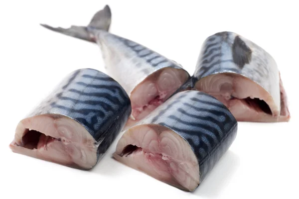 Kousky nakrájenou makrelu na bílém pozadí — Stock fotografie
