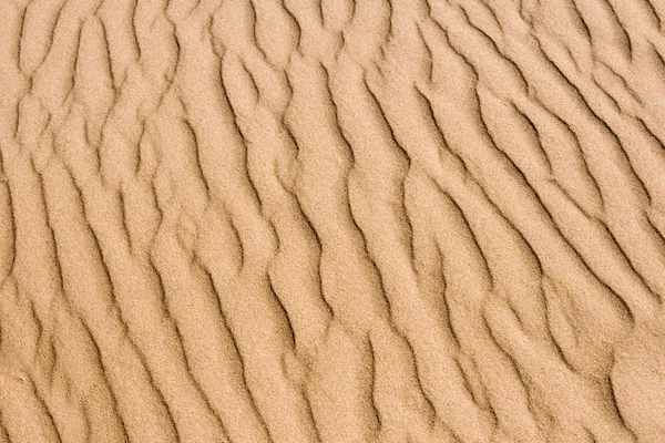 강 모래 — 스톡 사진