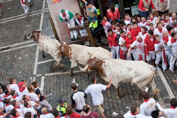 Festival of San Fermin in Pamplona — Stock Photo, Image