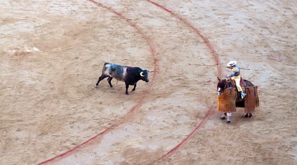 PAMPLONA, ESPAÑA - 8 DE JULIO: corridas de toros en la arena Toros en el festival — Foto de Stock