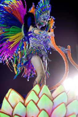 Rio De Janeiro - 11 Şubat: Bir kadın üzerinde carn dans kostüm