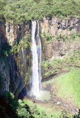 Francisco, Brezilya düşüyor