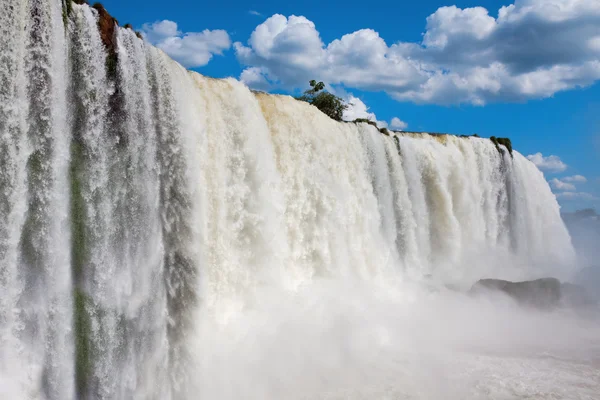 Iguazú-vízesés — Stock Fotó