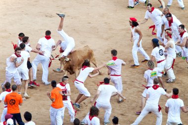 Pamplona, İspanya - 8 Temmuz: insanlar genç boğa ile eğleniyor