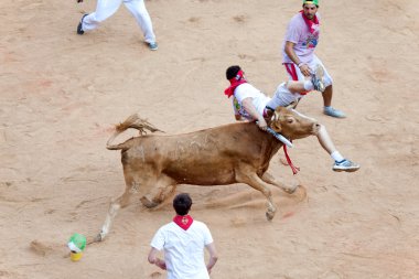 Pamplona, İspanya - 8 Temmuz: insanlar genç boğa ile eğleniyor
