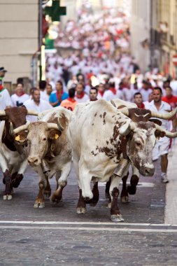 PAMPLONA, SPAIN-JULY 9: Bulls running in street during San Fermi clipart