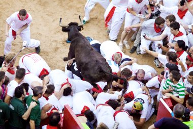 Pamplona, İspanya - Temmuz 9: insanlar genç boğa ile eğleniyor