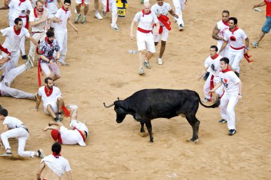 Pamplona, İspanya - Temmuz 9: insanlar genç boğa ile eğleniyor