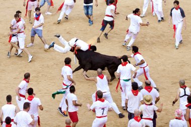 Pamplona, İspanya - Temmuz 9: insanlar genç boğa ile eğleniyor