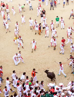 Pamplona, İspanya - Temmuz 9: insanlar genç boğa ile eğleniyor