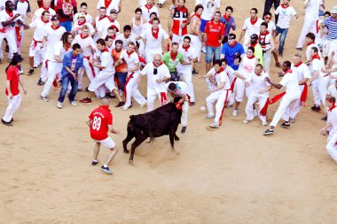 Pamplona, İspanya - Temmuz 9: insanlar genç boğa ile eğleniyor