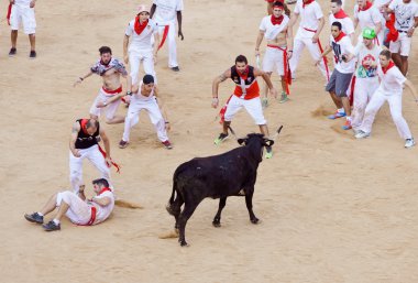 Pamplona, İspanya - Temmuz 9: insanlar genç boğa ile eğleniyor