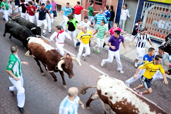 SOTTOBORDO MADRID DI SAN SEBASTIAN DE LOS REYES - SETTEMBRE 29: Uomini — Foto Stock