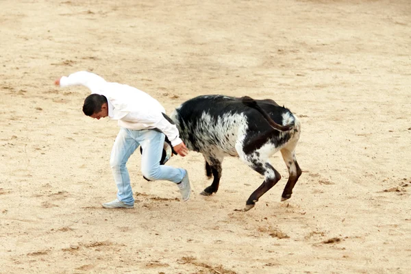Madrid banliyösü olan San Sebastian De Los Reyes - 29 Eylül: erkekler