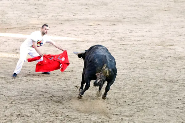 Madrid banliyösü olan San Sebastian De Los Reyes - 29 Eylül: erkekler