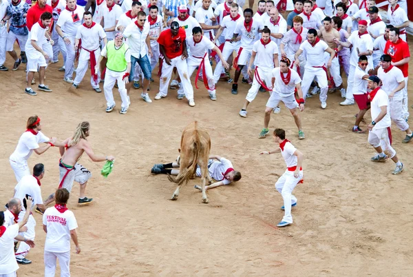 PAMPLONA, ESPAÑA - 8 DE JULIO: La gente se divierte con toros jóvenes en — Foto de Stock