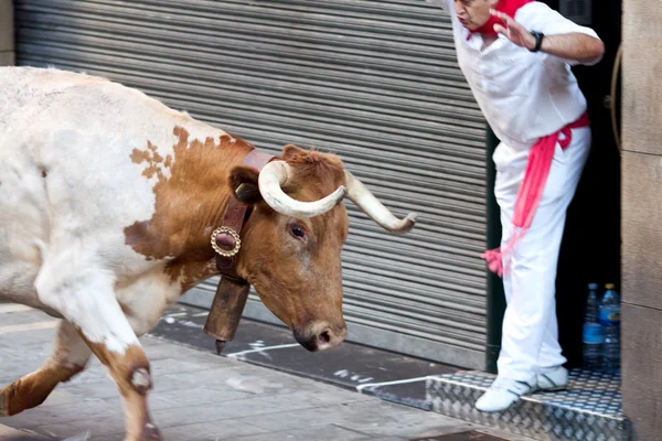 PAMPLONA, ESPAÑA - 8 DE JULIO: Hombres no identificados huyen de toros en la calle — Foto de Stock