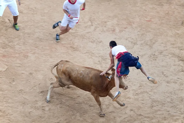 PAMPLONA, ESPAÑA - 8 DE JULIO: La gente se divierte con toros jóvenes en —  Fotos de Stock
