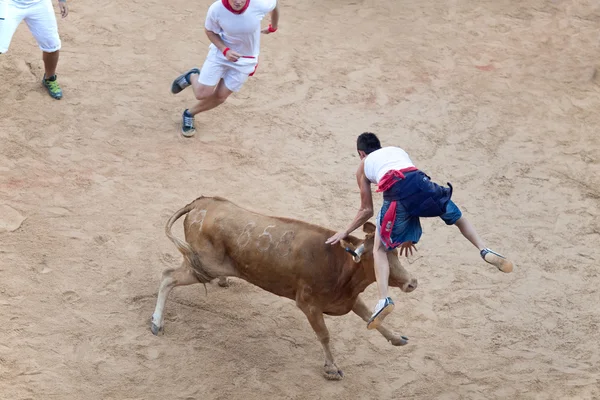 PAMPLONA, ESPAÑA - 8 DE JULIO: La gente se divierte con toros jóvenes en — Foto de Stock