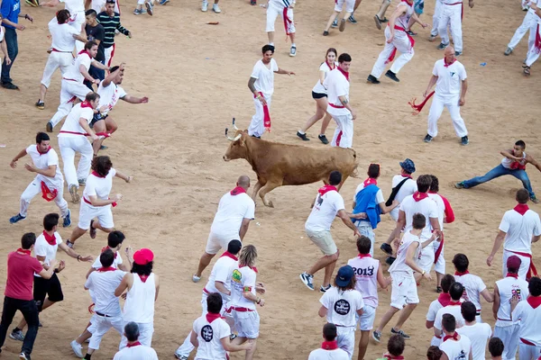 PAMPLONA, SPAGNA - 8 LUGLIO: Le persone che si divertono con i giovani tori a — Foto Stock