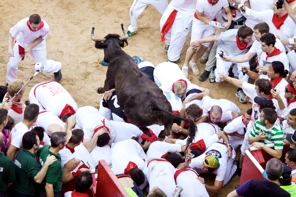Pamplona, İspanya - Temmuz 9: insanlar genç boğa ile eğleniyor