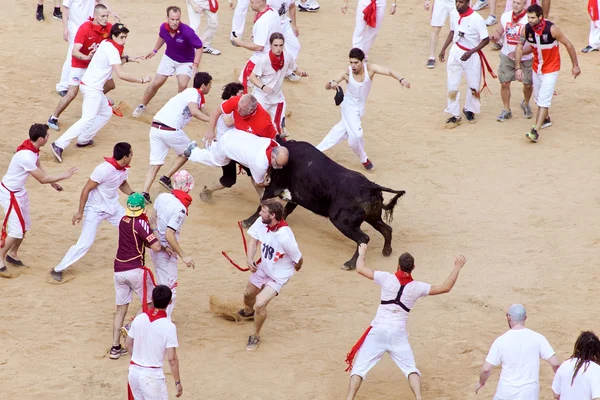Pamplona, İspanya - Temmuz 9: insanlar genç boğa ile eğleniyor