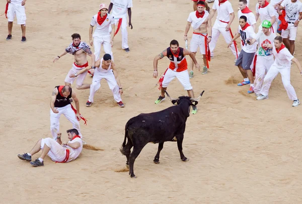Pamplona, İspanya - Temmuz 9: insanlar genç boğa ile eğleniyor
