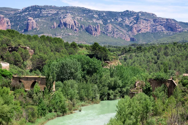 Ruinas del viejo puente sobre el río Gallego. Comunidad autónoma Ar —  Fotos de Stock