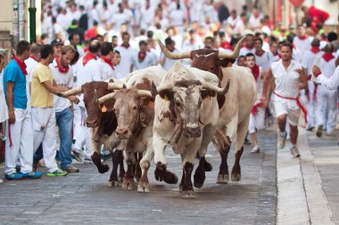 Pamplona, İspanya-Temmuz 9: insanlar s sırasında sokakta boğaların çalıştırmak