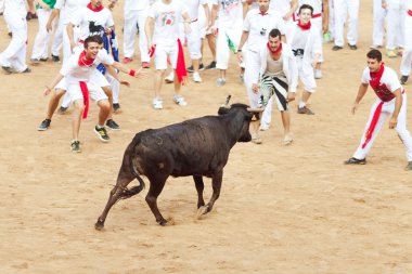 Pamplona, İspanya - Temmuz 10: insanlar genç boğa ile eğleniyor