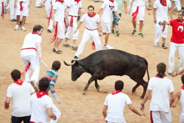 Pamplona, İspanya - Temmuz 10: insanlar genç boğa ile eğleniyor