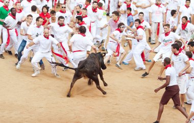 Pamplona, İspanya - Temmuz 10: insanlar genç boğa ile eğleniyor